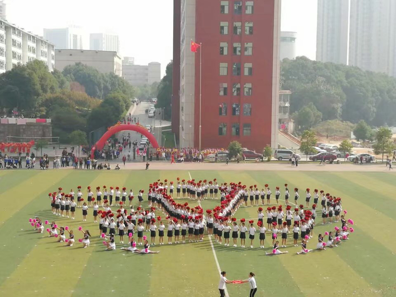 1509694548154065516.jpg